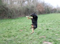 /album/toutous/dolly8-jpg/