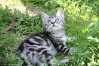 /album/galerie-de-photos-matous/irma2-jpg/