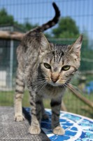 /album/galerie-de-photos-matous/mystic3-jpg/