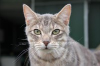 /album/galerie-de-photos-matous/hobby1-jpg/