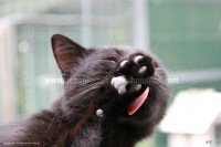 /album/galerie-de-photos-matous/icone8-jpg/