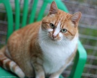 /album/galerie-de-photos-matous/hindia3-jpg/