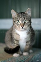 /album/galerie-de-photos-matous/icarebis-jpg/