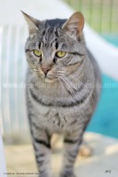 /album/galerie-de-photos-matous/jason2-jpg/