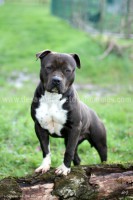 /album/galerie-de-photos-le-beau-max/max1-jpg1/