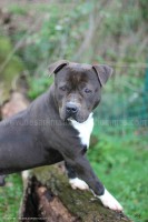 /album/galerie-de-photos-le-beau-max/max2-jpg1/