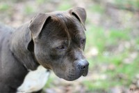 /album/galerie-de-photos-le-beau-max/max4-jpg/