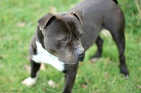 /album/galerie-de-photos-le-beau-max/max5-jpg/