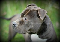 /album/galerie-de-photos-le-beau-max/max6-jpg1/