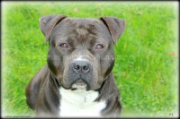 /album/galerie-de-photos-le-beau-max/max1-jpg2/