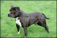 /album/galerie-de-photos-le-beau-max/max3-jpg2/