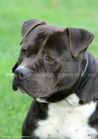 /album/galerie-de-photos-le-beau-max/max4-jpg1/