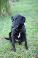 /album/toutous-2014/princesse1-jpg/