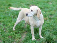 /album/toutous-2014/sushi2-jpg/