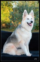 /album/bahia/mg-0085-jpg/