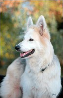 /album/bahia/mg-0092-jpg/