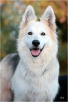 /album/bahia/mg-0096-jpg/