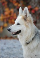 /album/bahia/img-0103-jpg/