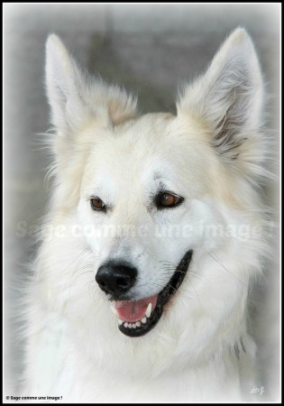 Bahia (merci à Sophie)